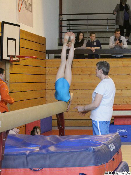 acrobates_2012_018