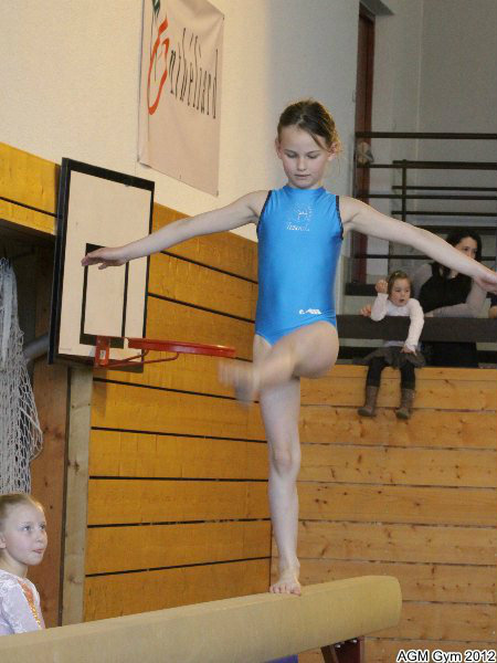 acrobates_2012_021